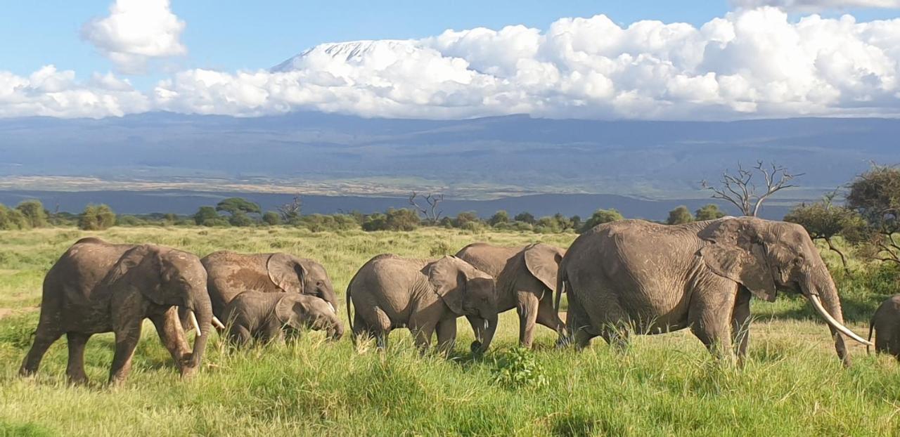 Wild Amboseli Ndovu Cottage. Esterno foto