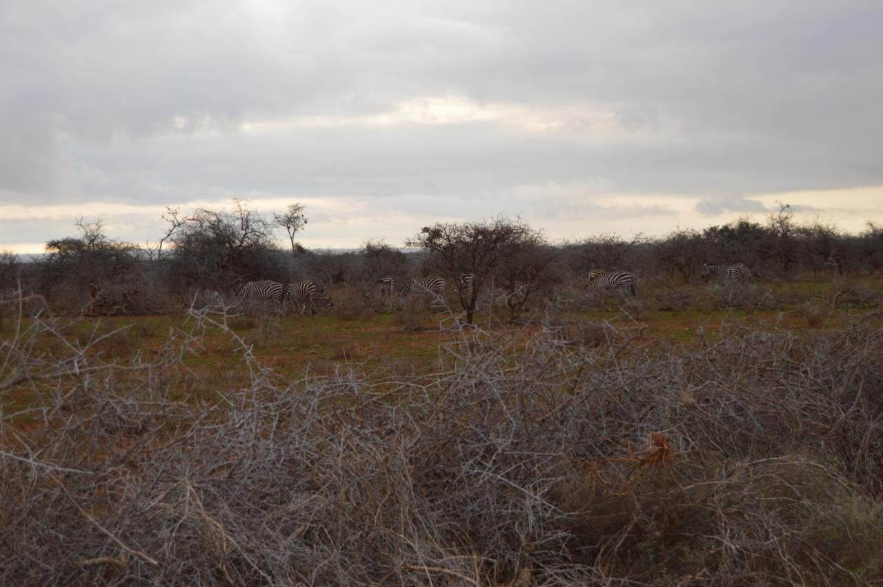 Wild Amboseli Ndovu Cottage. Esterno foto