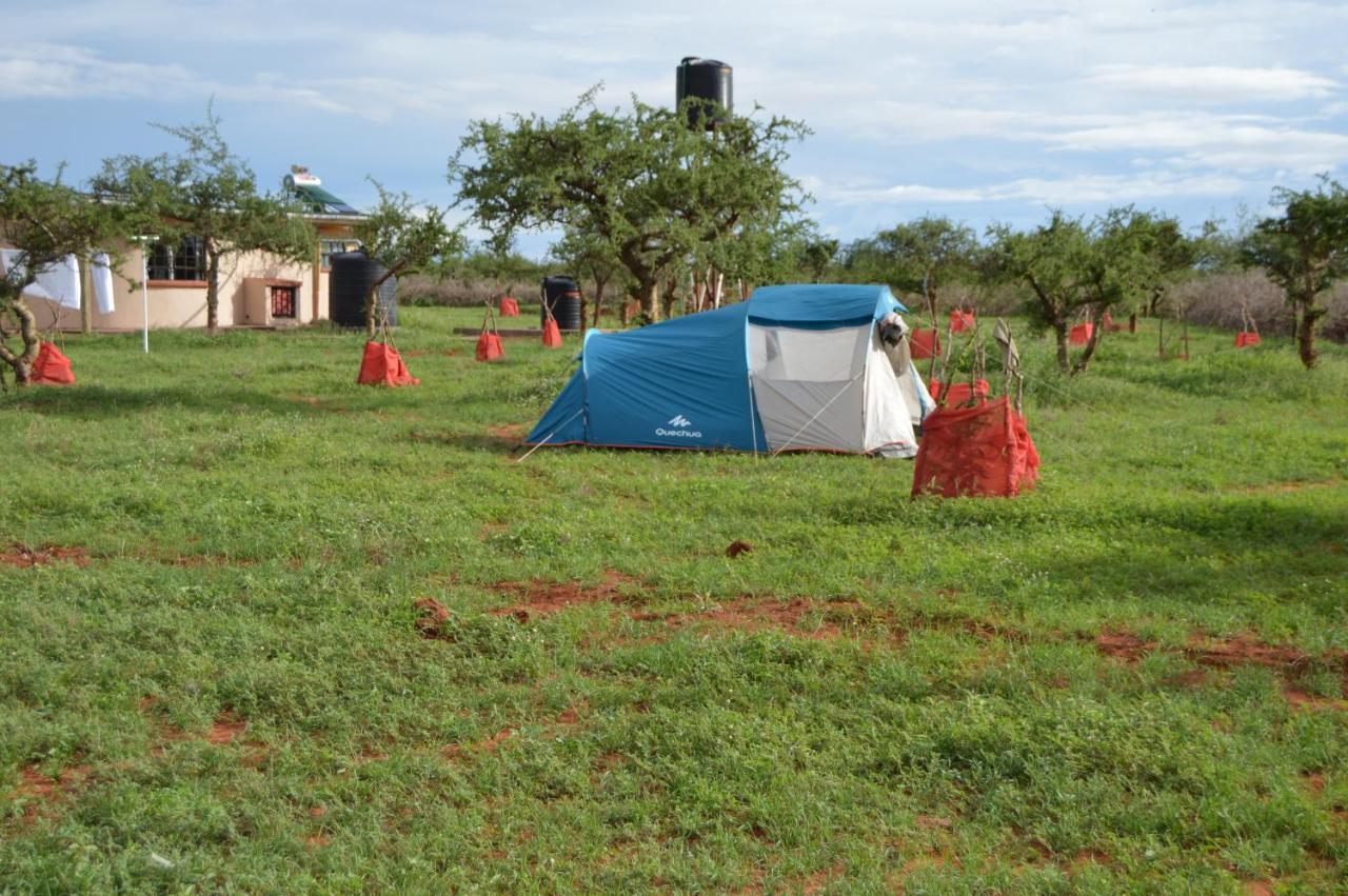 Wild Amboseli Ndovu Cottage. Esterno foto