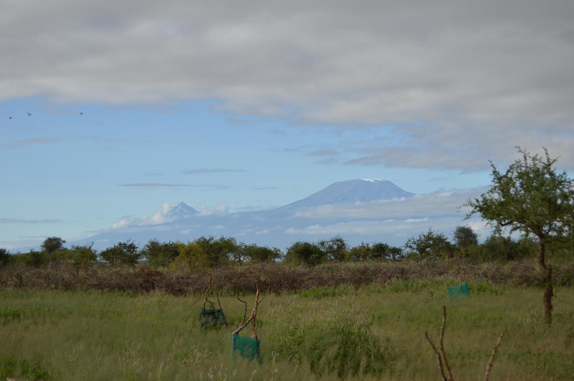 Wild Amboseli Ndovu Cottage. Esterno foto