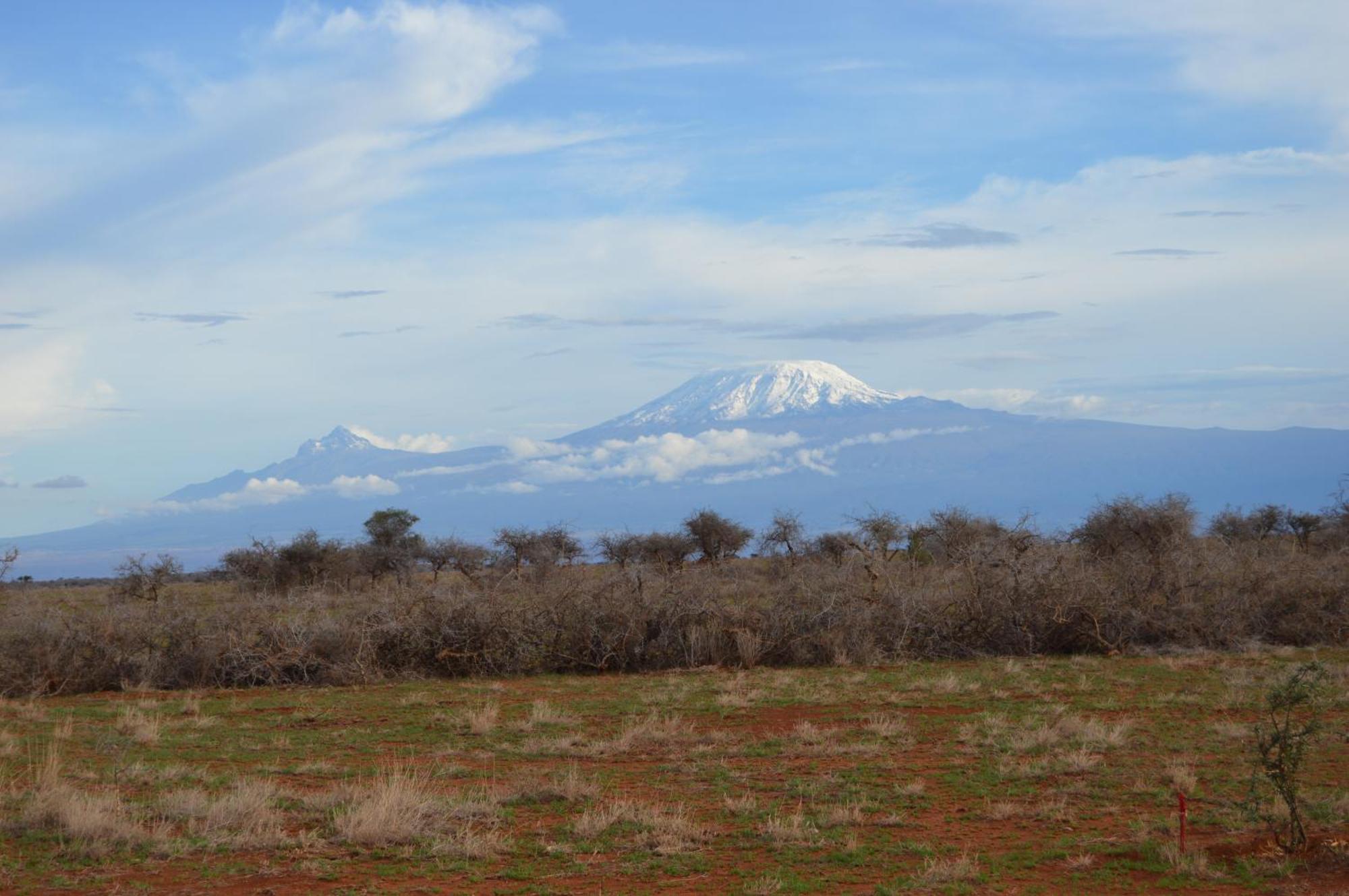 Wild Amboseli Ndovu Cottage. Esterno foto